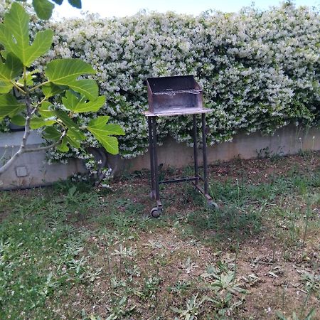 Appartamento In Seminterrato Zannone Sabaudia Kültér fotó